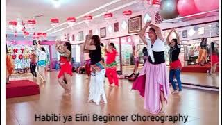 Habibi ya eini Nancy Ajram - Bellydance Beginner class by Santistudio