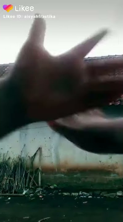 kemal kepo maksimal