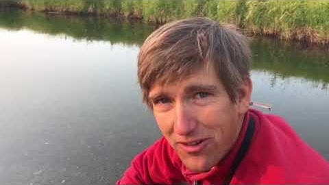 Secrets of the Creek: Identifying Otter and Muskrat Sign in Yellowstone