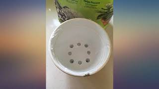 Santino 12.6 Inch Self Watering Planter Asti in Menthol//White - Modern Flower Pot review