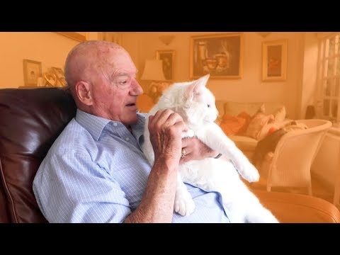 Meet Peter: Tailster's oldest pet carer