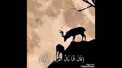 قال من ربكما يا موسى - رعد محمد الكردي | حالات واتساب و انستجرام دينية ( سورة طه)
