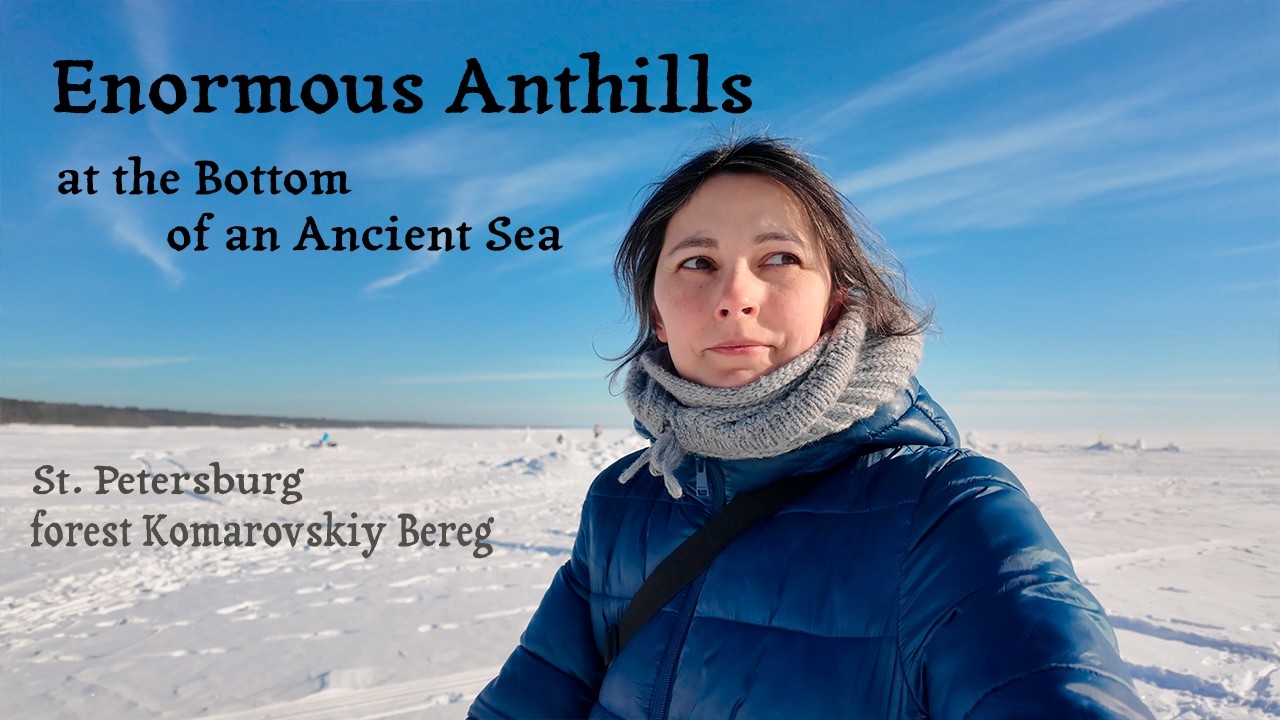 I mean, just a Walk Along an Eco-Trail near St. Petersburg, Russia (Komarovo)