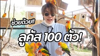 จะเป็นยังไงเมื่อเที่ยวสวนสัตว์ เจอลูคัส 100 ตัว!! | Zellfie