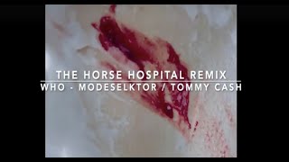 The Horse Hospital mix + live - Who - Modeselektor feat Tommy Cash