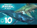 MEGALODON EATS WHALES!! - Hungry Shark World | Ep10 HD