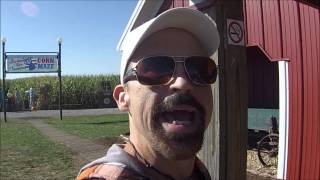 Shryock Corn Maze