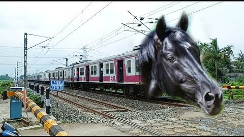 Black HORSE Headed ICF Emu Train Dangerous & Furiously Moving Out Railgate