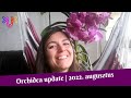 Augusztusi orchidea update | Virágzó vanda orchidea, új orchideák és számos új virágszár mindenhol