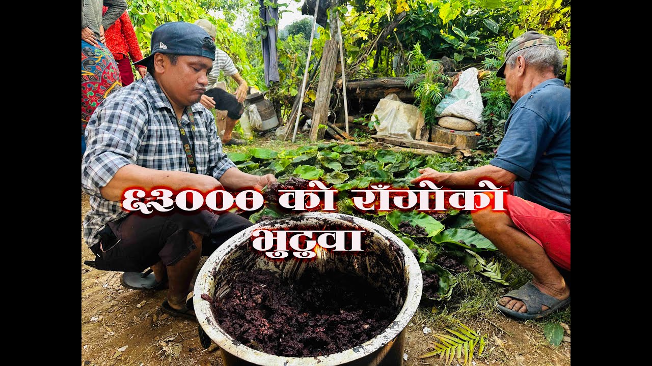 राँगाकाे भुटुवा  भान्से हुँदै दशै लागेकाे महसुस / Dasai Padako Vutuwa/ Buff for Dashain 2082