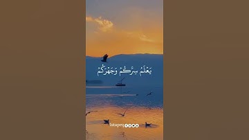 وهو الله في السموات وفي الأرض يعلم سركم وجهركم ويعلم ماتكسبون |سورة الأنعام | أحمد حمادي
