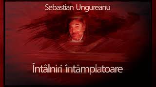Sebastian Ungureanu - Intalniri intamplatoare