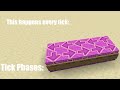 Minecraft Tick Phases | Explaining Minecraft #5