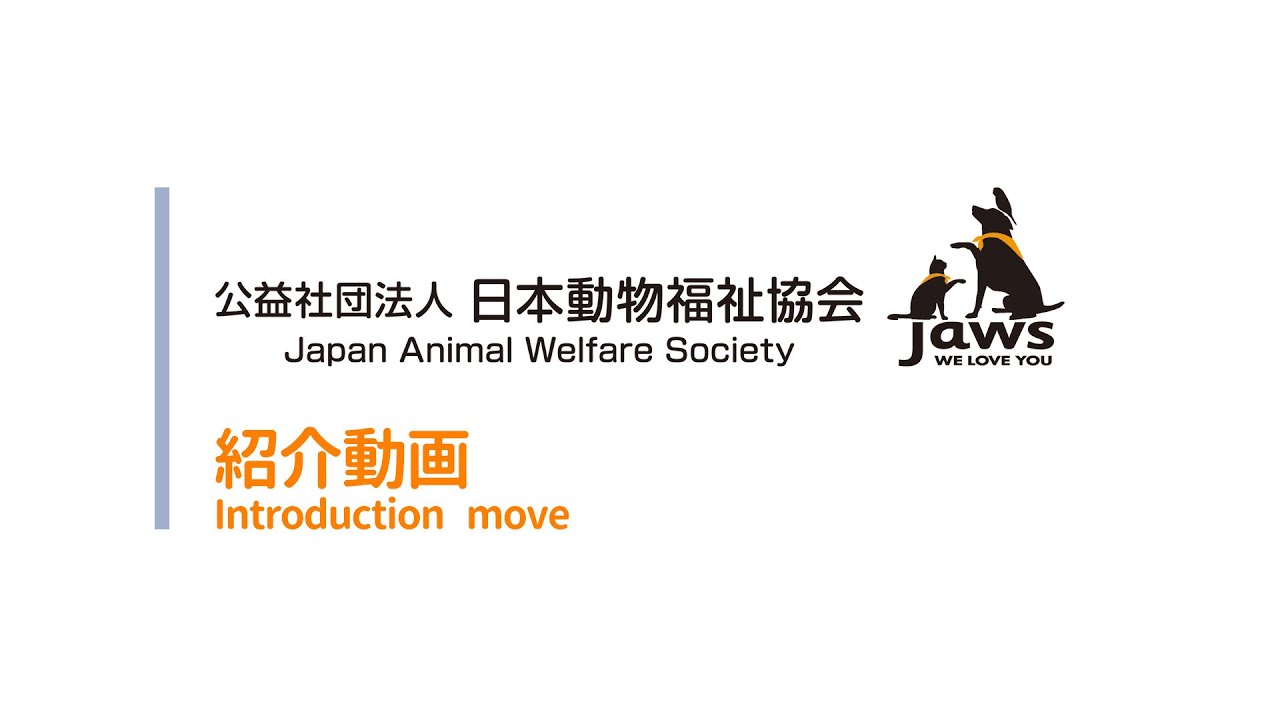 日本動物福祉協会 Jaws 紹介 Introduction Youtube 日本動物福祉協会 Jaws 紹介 Introduction Youtube