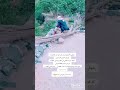 الشاعر ابو غيث الفلاحي شاهد والصت الشاعر ابو غيث الفلاحي شاهد والصت