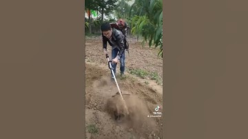 Máy xới đất xạc cỏ đa năng