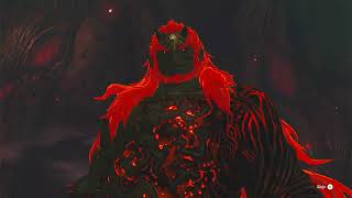 Tears of the Kingdom, Ganondorf Fight, as Gerudo Link