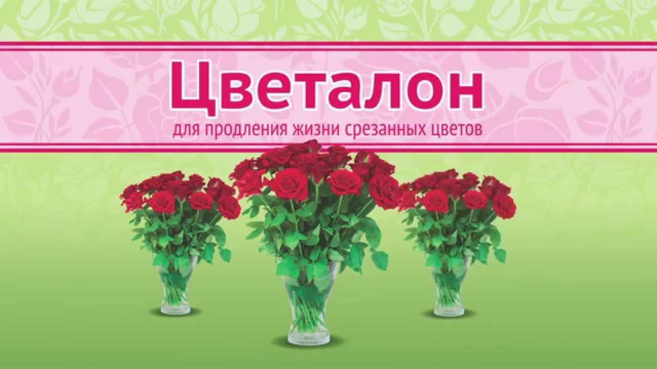 Как продлить жизнь срезанным