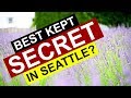 FIRST DAY IN SEATTLE! TRAVEL VLOG | Best Kept Secret in Seattle?