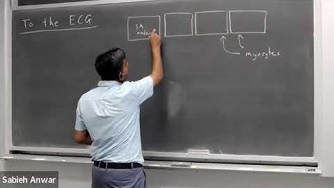 Lecture 9: Physics behind the ECG -- Physics of Life (2022)