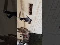 قرية جبل تقوق والشيخ دياب باسوان قرية جبل تقوق والشيخ دياب باسوان