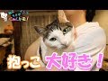 抱っこ好きな猫が抱っこが好き過ぎて抱きついてくる! - A cat who likes holding embraces herself.