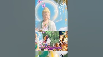 ✨ THẦY MINH TUỆ ĐI KHẤT THỰC VÀ NGHE LỜI PHẬT DẠY – RẤT Ý NGHĨA 24 #thayminhtue #trananhkha29vlog