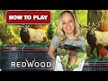 Redwood how to set up and play