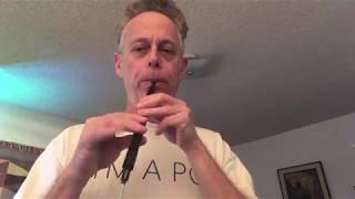 WARBL MIDI Whistle/Bagpipes Controller Demo with "Celtic Sounds"
