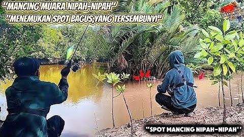 Mancing Muara Nipah-Nipah – Menemukan Spot Bagus yang Tersembunyi