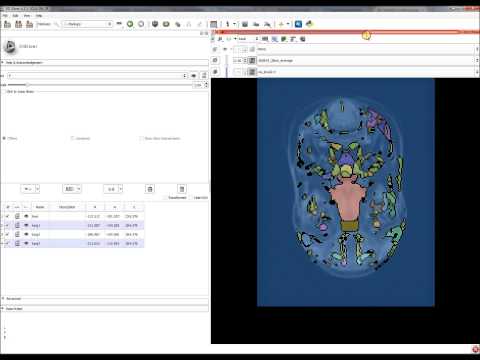WASP tutorial