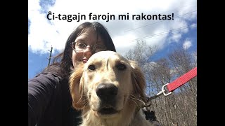 Ĉi-tagajn farojn mi rakontas! / I Narrate Today’s Doings!