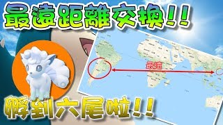 【精靈寶可夢GO】POKEMON GO|最遠距離交換!孵到阿羅拉6尾啦!!