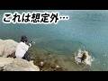新作ルアーのテスト中に想定外の魚を釣ってしまう…！