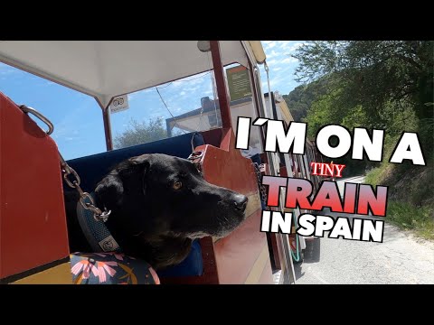 Montefrio, Spain. Tourist Train with our Dog Percy The Labrador. Ruta Turistica Montefrio