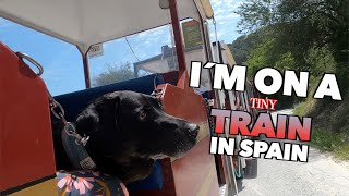 Montefrio, Spain. Tourist Train with our Dog Percy The Labrador. Ruta Turistica Montefrio by Percy The Labrador 853 views 1 year ago 9 minutes, 30 seconds