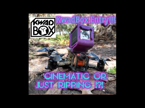 dronesense KwadBox Entry : Cinematic or Just Ripping !?! 😈