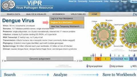 ViPR Workbench: 2. Register for an Account