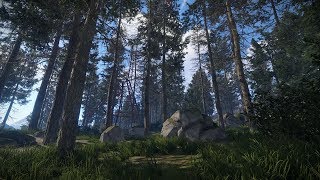 Devblog 192 Rust