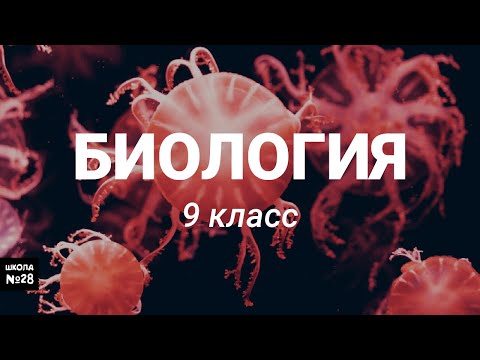 Биология. 21.04.2020 Тема: Тема: Популяция как элементарная единица эволюции