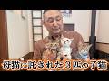 猫好き店主と１匹の野良猫の物語