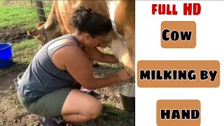 Cow milking  by hand Italy | hardworking  all-rounder  woman  | milking video