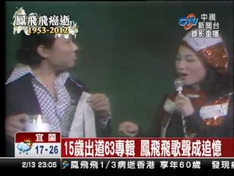 鳳飛飛 中視報導 一道彩虹 多看一眼 風飛飛雲飛飛 奔向彩虹 金鐘獎 鄧麗君