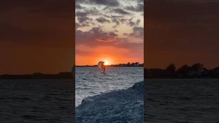 What a time to be in the ocean. If you keep an opened mind the possibilities are endless. #parawing