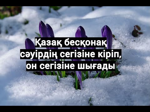 Бейне: Барлық ширектерде жалбыз белгілері бар ма?