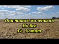 ОНА ТАКАЯ МАЛЕНЬКАЯ, НО ТАКАЯ ПРИЯТНАЯ. КОП 2021. НАХОДКИ С ФОРТУНА ПРО 2