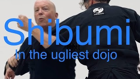 Shibumi for Ninjutsu