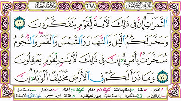 ألقران الكريم حاتم فريد الواعر الصفحة 268