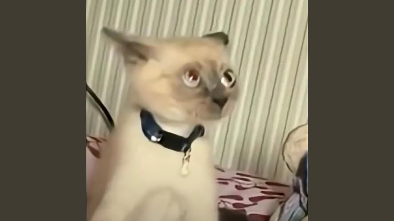 fading away slowly...