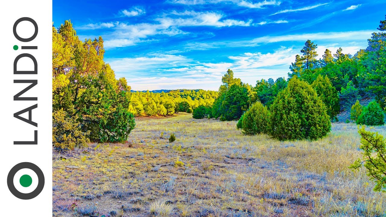 SOLD by LANDiO • Land in Colorado • 5.22 Acre Homestead with